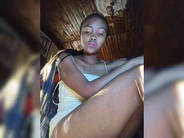 Stella11 webcam