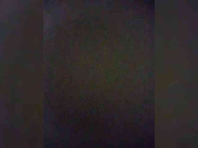 Stella11 webcam