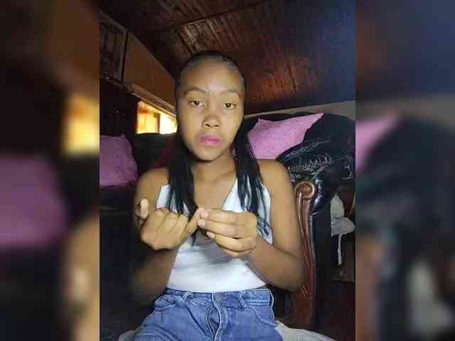 Stella11 webcam