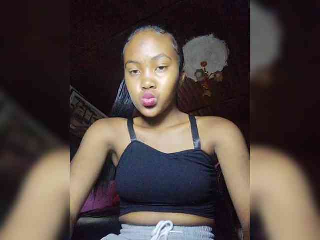 Stella11 webcam