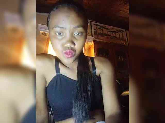 Stella11 webcam