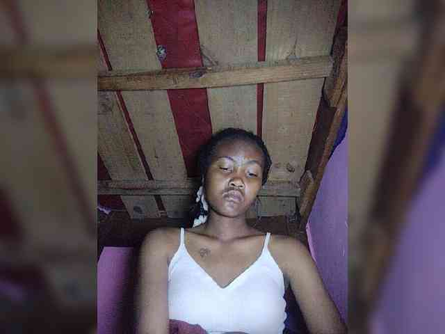 Stella11 webcam
