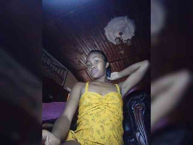 Stella11 webcam