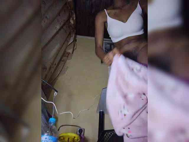 Stella11 webcam