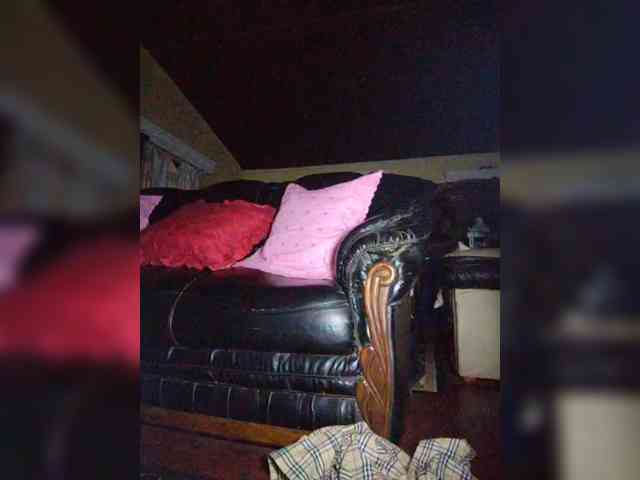 Stella11 webcam