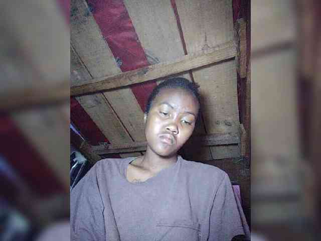 Stella11 webcam