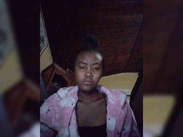 Stella11 webcam