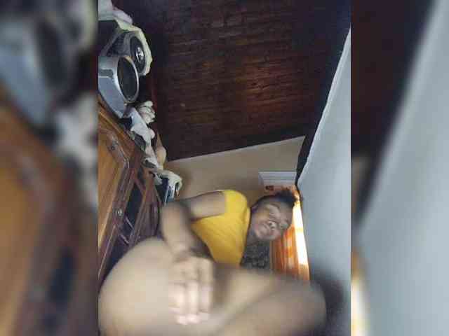Stella11 webcam