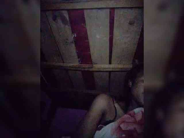 Stella11 webcam