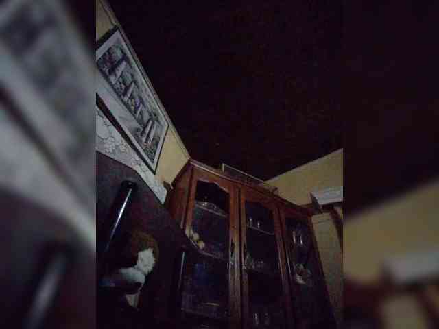 Stella11 webcam