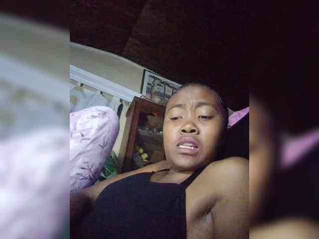 Stella11 webcam
