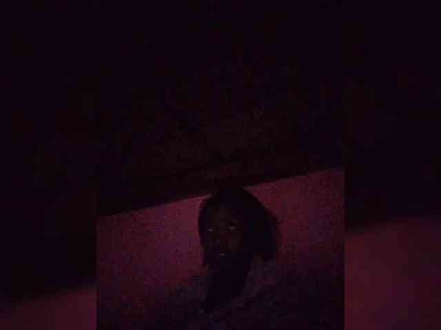 Stella11 webcam