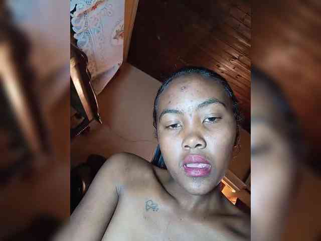 Stella11 webcam