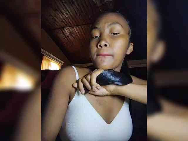 Stella11 webcam
