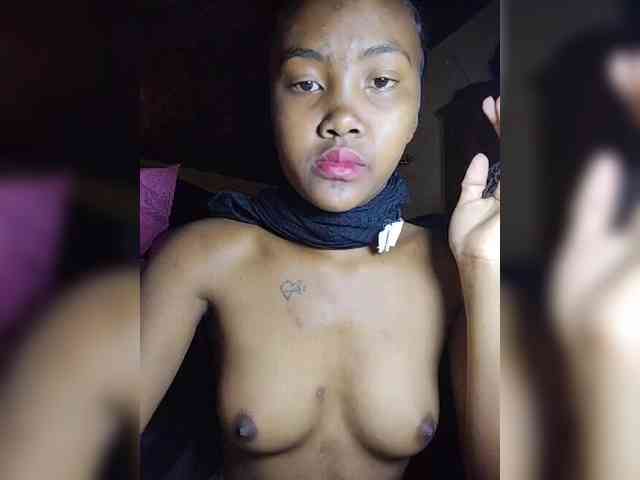 Stella11 webcam