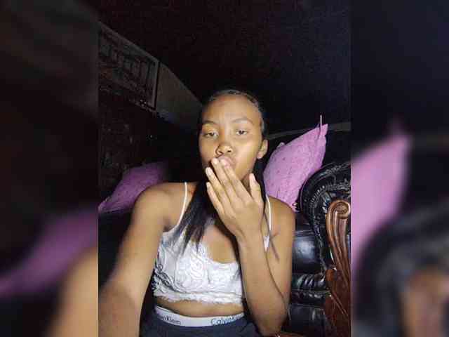 Stella11 webcam