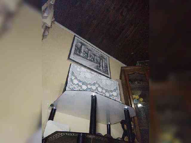Stella11 webcam