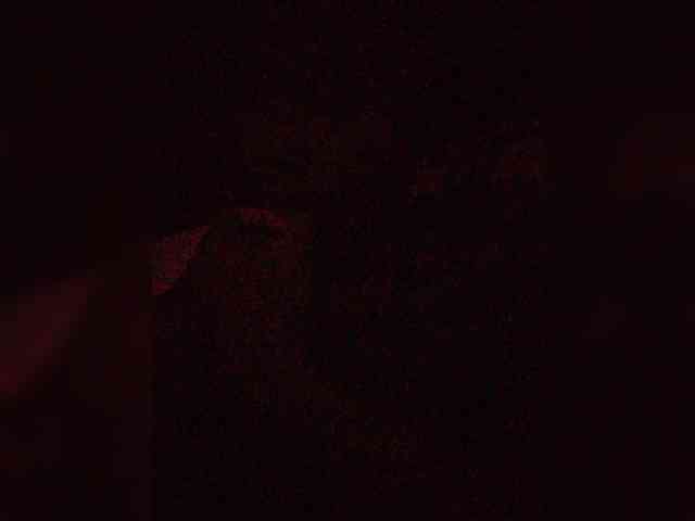 Stella11 webcam