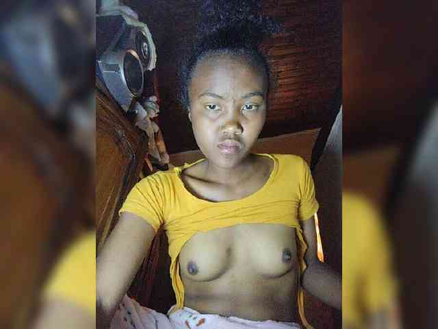 Stella11 webcam