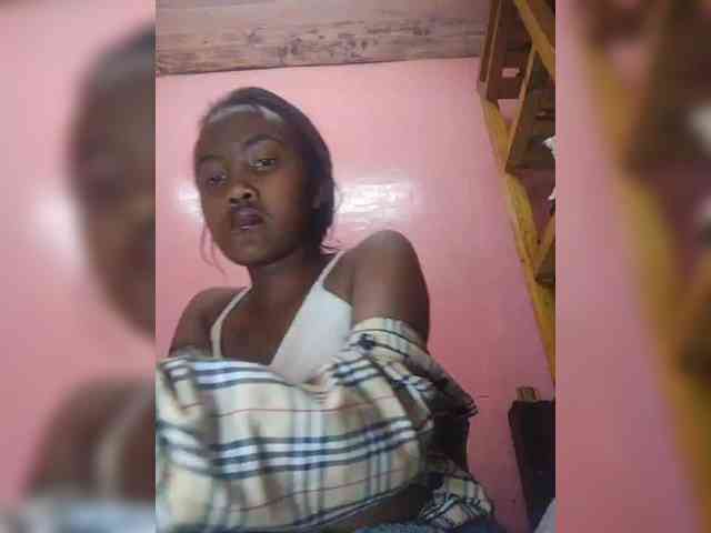 Stella11 webcam