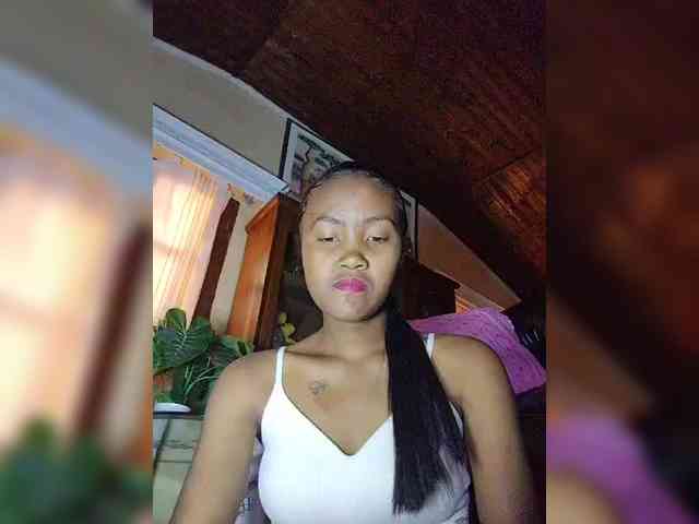 Stella11 webcam