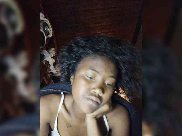 Stella11 webcam