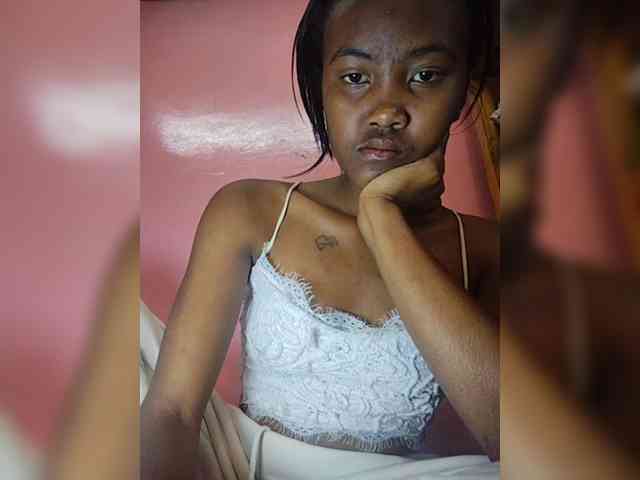 Stella11 webcam
