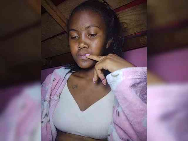 Stella11 webcam