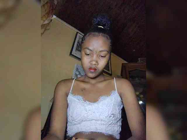 Stella11 webcam