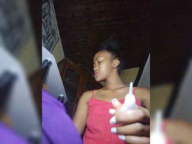 Stella11 webcam