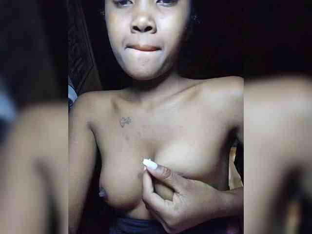 Stella11 webcam
