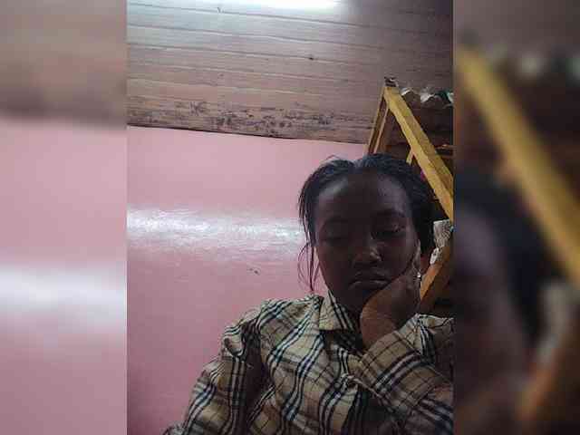 Stella11 webcam