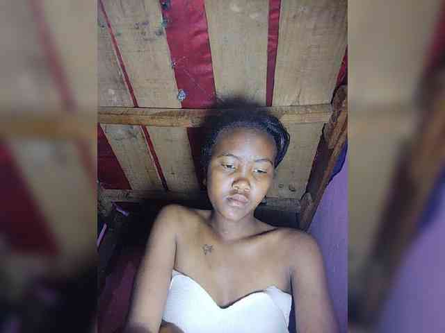 Stella11 webcam