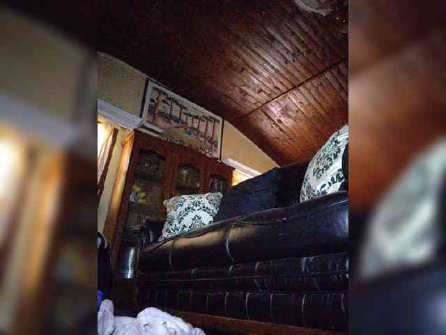 Stella11 webcam