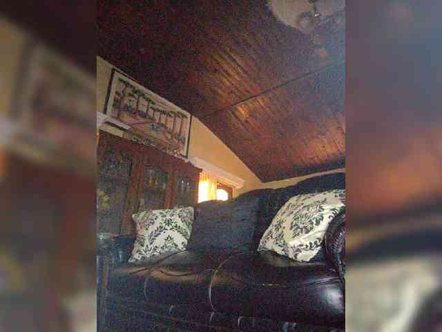 Stella11 webcam