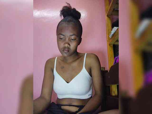 Stella11 webcam