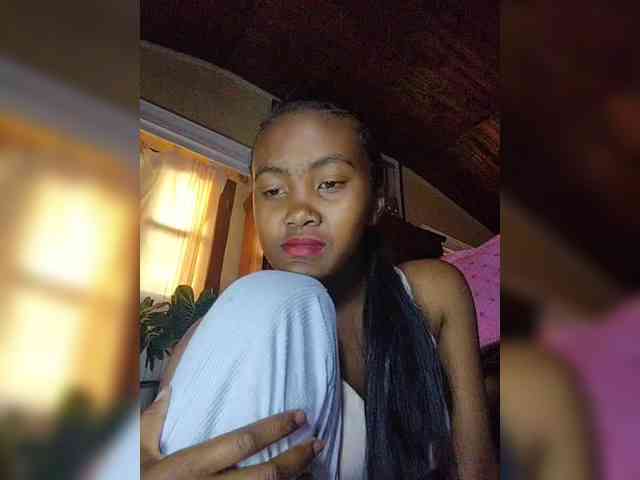 Stella11 webcam