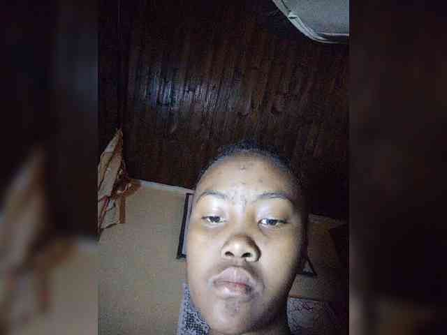 Stella11 webcam
