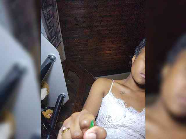 Stella11 webcam