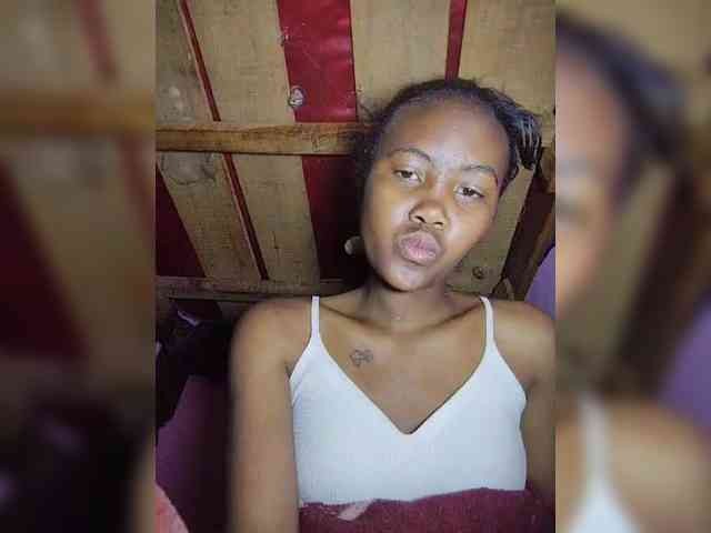Stella11 webcam