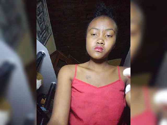 Stella11 webcam