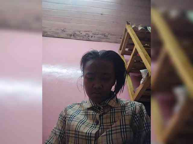 Stella11 webcam