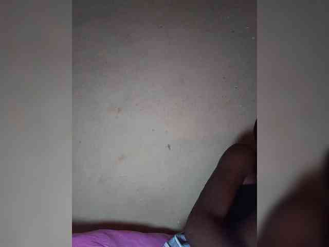 Stella11 webcam