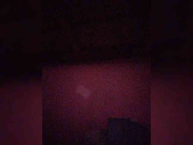 Stella11 webcam