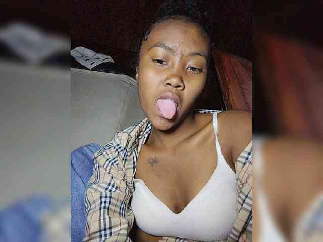 Stella11 webcam