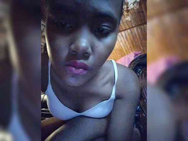 Stella11 webcam