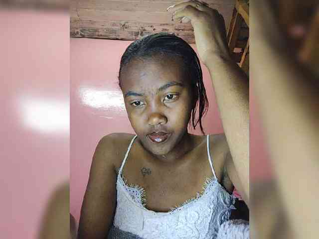 Stella11 webcam