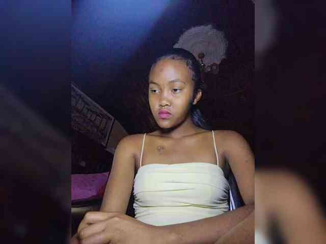 Stella11 webcam