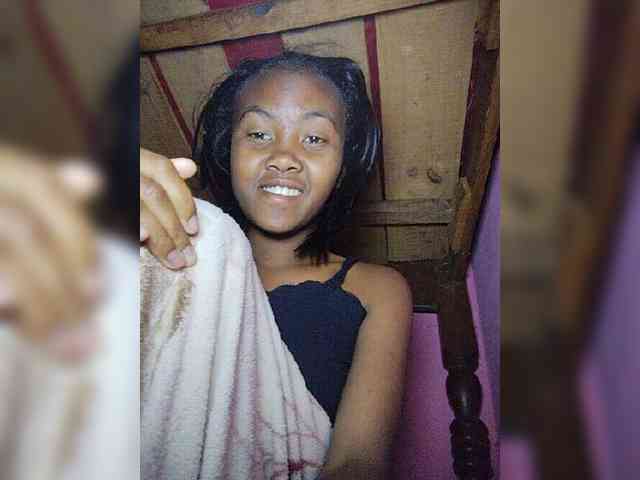 Stella11 webcam