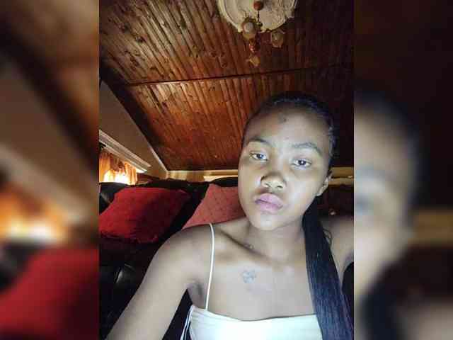 Stella11 webcam